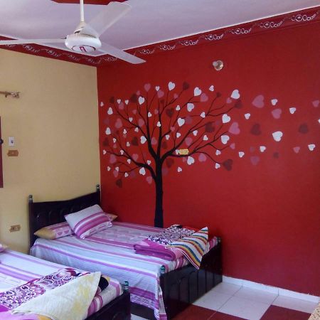 El-Amin Guest House อัสวาน ภายนอก รูปภาพ