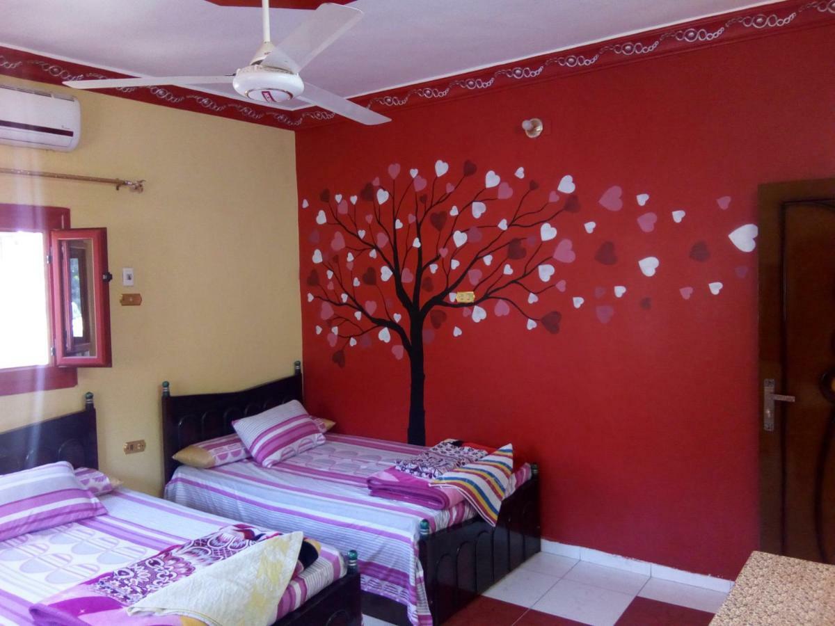 El-Amin Guest House อัสวาน ภายนอก รูปภาพ