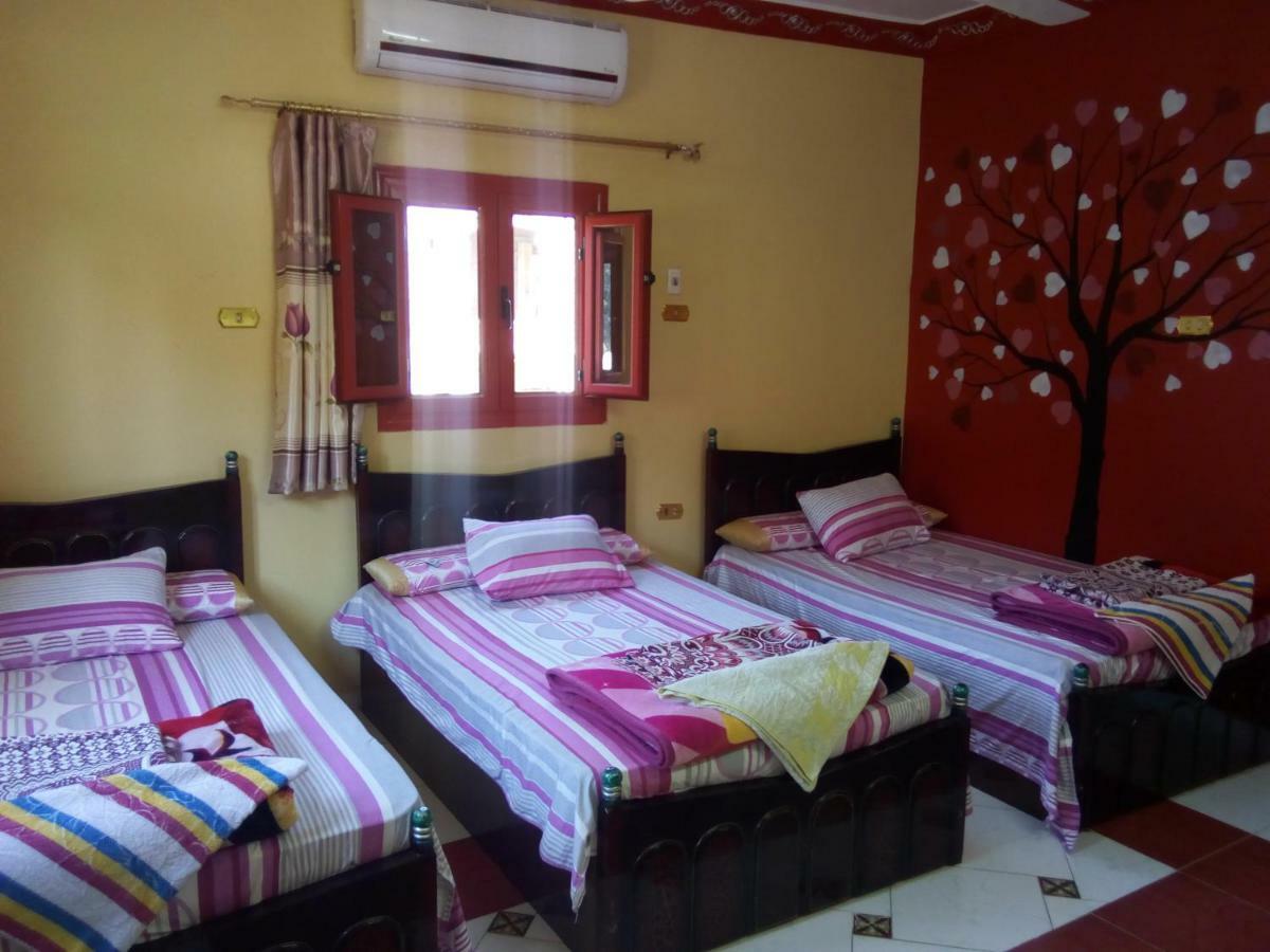 El-Amin Guest House อัสวาน ภายนอก รูปภาพ