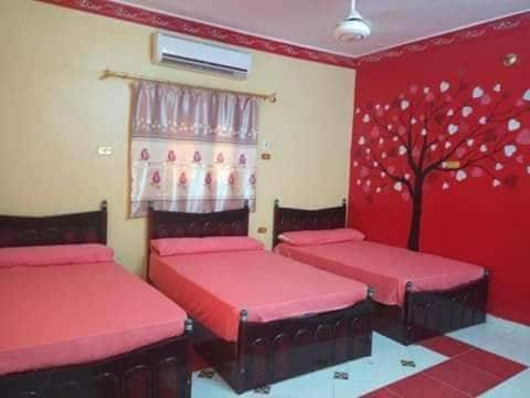 El-Amin Guest House อัสวาน ภายนอก รูปภาพ